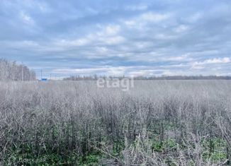 Продаю участок, 10.1 сот., деревня Корнеевка