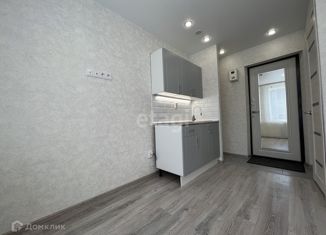 Продажа квартиры студии, 14 м2, Нижний Новгород, Берёзовская улица, 106, Московский район