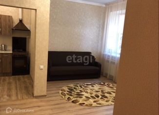 Сдам 1-ком. квартиру, 40 м2, Ростовская область, Большая Садовая улица, 166