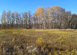 Продажа участка, 9.54 сот., деревня Большая Рябцева