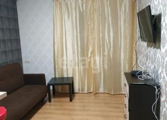 Квартира в аренду студия, 25 м2, Ростов-на-Дону, улица Пановой, 30к1, ЖК Сельмаш