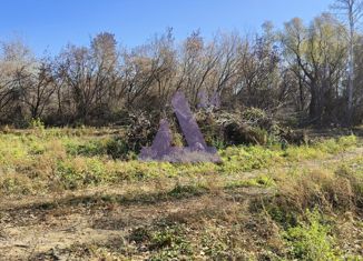 Продам земельный участок, 1043 сот., Алтайский край