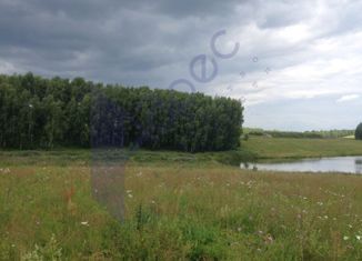 Продается участок, 70 сот., село Арапово, Центральная улица