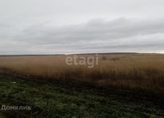 Продаю земельный участок, 390 сот., село Засечное, Центральная улица