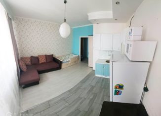 Продаю квартиру студию, 24.5 м2, Мурино, Охтинская аллея, 16, ЖК Мой Город