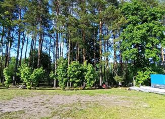 Продажа земельного участка, 24 сот., деревня Альшанские Выселки