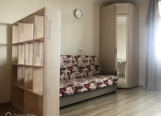 Сдаю 1-комнатную квартиру, 23 м2, Мурино, Петровский бульвар, 14к5, ЖК Краски Лета