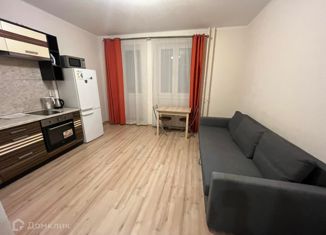 Сдается в аренду квартира студия, 27 м2, Мурино, Охтинская аллея, 14, ЖК Мой Город