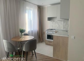 Продажа 1-комнатной квартиры, 32 м2, Ставрополь, улица Ленина, 397, микрорайон № 22