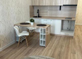 Продам квартиру студию, 26.1 м2, Оренбург, Уральская улица, 2/22, ЖК Дубки