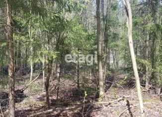 Земельный участок на продажу, 10 сот., деревня Островки