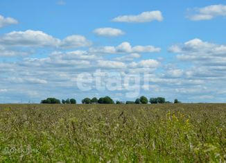 Продаю участок, 8 сот., деревня Прудное, Елькинская улица, 28