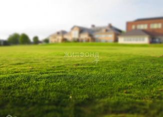 Участок на продажу, 600 сот., село Красный Яр, улица 70 лет Октября