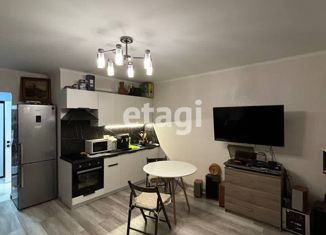 Продается квартира студия, 26.5 м2, посёлок Парголово, Заречная улица, 13к2, ЖК На Заречной