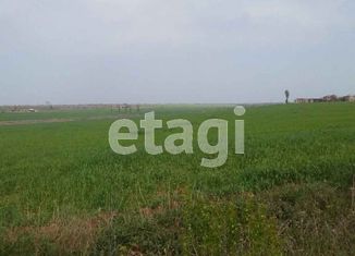 Продаю участок, 10 сот., село Фрунзе, улица Мира