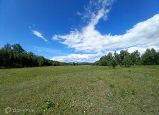 Продажа участка, 100 сот., село Усть-Кокса, Коксинская улица