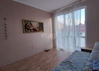 1-комнатная квартира на продажу, 27.3 м2, село Барановка, Армянская улица, 49А
