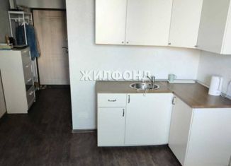 Продается квартира студия, 23 м2, поселок Ложок, Солнечная улица, 51