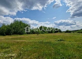 Продам земельный участок, 10020 сот., деревня Рябинки, Весенняя улица