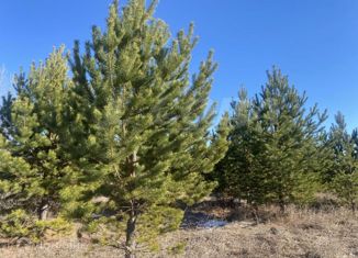 Продам участок, 14 сот., деревня Коняшина, Новая улица