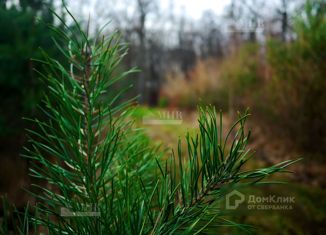 Продаю земельный участок, 9.8 сот., деревня Малое Сареево