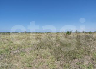 Продам земельный участок, 20 сот., село Береговое, улица Мира