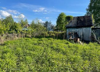 Продается дом, 35 м2, деревня Еловка, деревня Еловка, 20