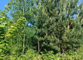 Участок на продажу, 11 сот., деревня Шопино, Кленовый переулок