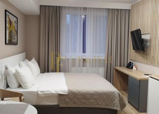 Продажа квартиры студии, 28.1 м2, Санкт-Петербург, Заозёрная улица, 3к3, Заозёрная улица