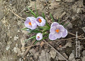 Продаю участок, 6 сот., Батайск, улица Залесье