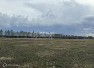 Продаю участок, 10 сот., деревня Нолька, Центральная улица