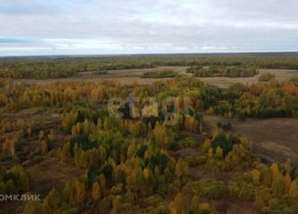 Земельный участок на продажу, 541 сот., село Перевалово, улица 8 Марта