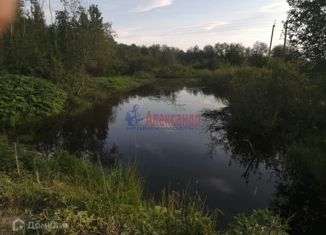 Продается участок, 15 сот., деревня Замошье