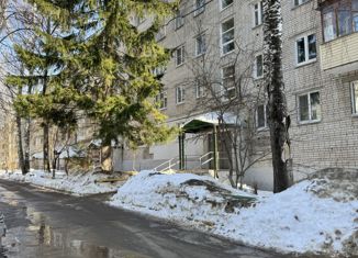 Двухкомнатная квартира на продажу, 47.4 м2, Нижегородская область, улица Козицкого, 4