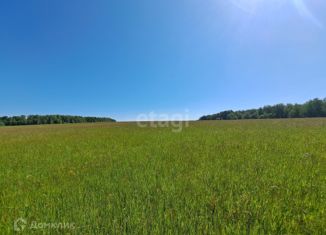 Земельный участок на продажу, 403.5 сот., село Городна, Центральная улица