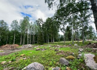 Продается земельный участок, 18.3 сот., поселок Приветнинское, посёлок Приветнинское, 1А
