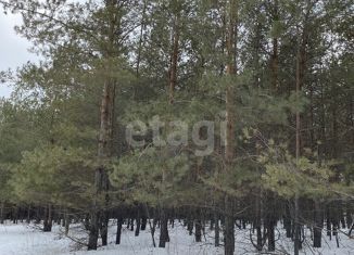 Продаю участок, 15 сот., село Старая Бинарадка, 2-я Лесная улица, 2