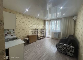 Продается квартира студия, 28.2 м2, село Засечное, Светлая улица, 11