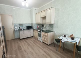 Квартира в аренду студия, 26.2 м2, городской посёлок Янино-1, Ясная улица, 4