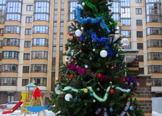 Однокомнатная квартира на продажу, 32.1 м2, Ломоносов, Михайловская улица, 51