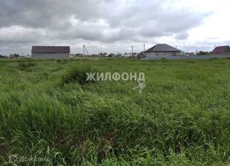 Земельный участок на продажу, 12.85 сот., рабочий посёлок Коченёво, Тенистая улица
