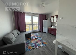 Квартира в аренду студия, 24 м2, Челябинская область, улица Блюхера, 123Ж