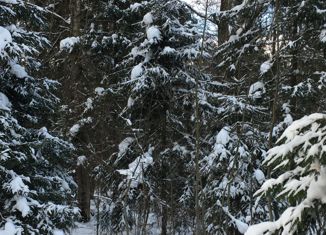 Продаю дом, 780 м2, деревня Подушкино, деревня Подушкино, 47А