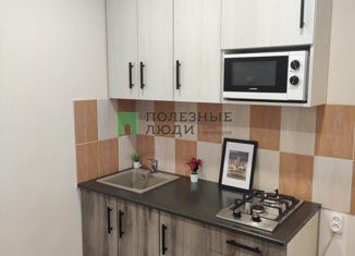 Продается 1-комнатная квартира, 28.6 м2, Ижевск, Камбарская улица, 35, жилой район Аэропорт