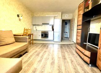 Продаю квартиру студию, 27.9 м2, Санкт-Петербург, улица Маршала Тухачевского, 25, улица Маршала Тухачевского