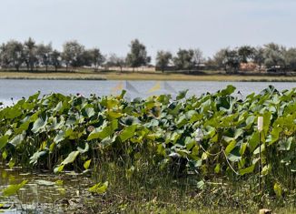 Дом на продажу, 28.7 м2, село Самосделка, Садовая улица, 40