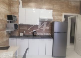 Продается квартира студия, 31.4 м2, деревня Голубое, деревня Голубое, 2