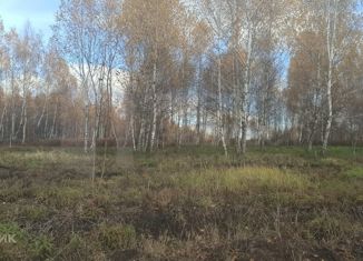 Земельный участок на продажу, 12.5 сот., деревня Новосёлки