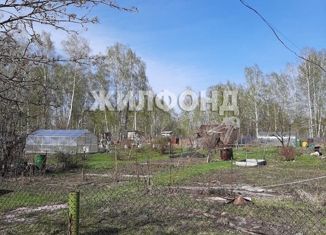 Участок на продажу, 7 сот., Новосибирск, Советский район, Рубиновая улица, 3