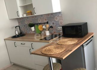 Продаю однокомнатную квартиру, 20.3 м2, село Орловка, Качинское шоссе, 35/10